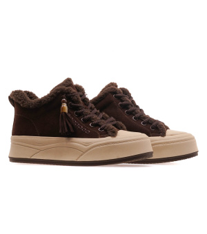 STREBO JS2209-3/BROWN WELL